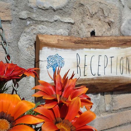 La Locanda Dell'Olmo Ορβιέτο Εξωτερικό φωτογραφία