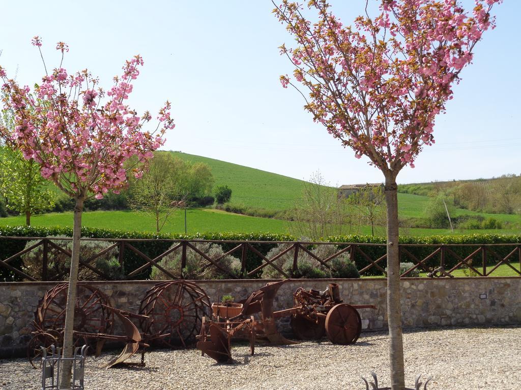La Locanda Dell'Olmo Ορβιέτο Εξωτερικό φωτογραφία